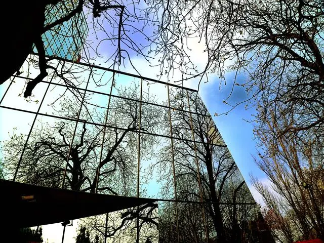 Warum Protecfolien wählen