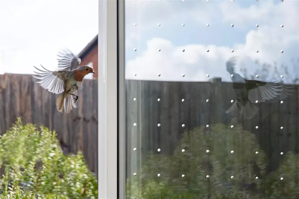 leistung Vogelschutzfolien