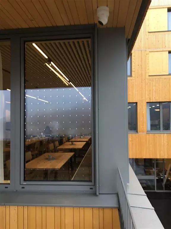 leistung vogelschutzfolien - Warum Protecfolien